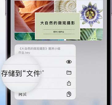 单县apple维修中心分享iPhone文件应用中存储和找到下载文件