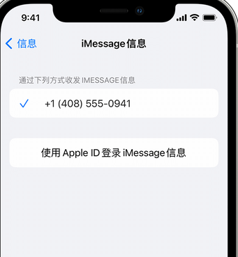 单县apple维修iPhone上无法正常发送iMessage信息