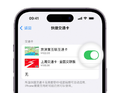 单县apple维修点分享iPhone上更换Apple Pay快捷交通卡手绘卡面 