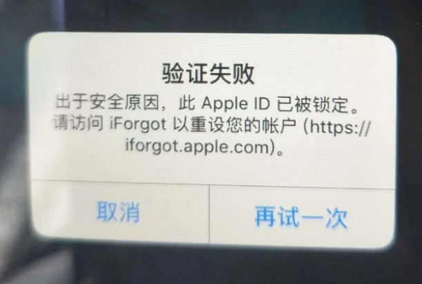 单县iPhone维修分享iPhone上正常登录或使用AppleID怎么办 