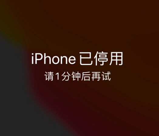 单县苹果手机维修分享:iPhone 显示“不可用”或“已停用”怎么办？还能保留数据吗？ 