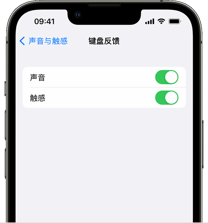 单县苹果14维修店分享如何在 iPhone 14 机型中使用触感键盘 