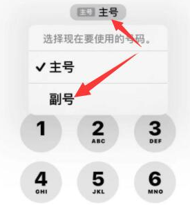 单县苹果14维修店分享iPhone 14 Pro Max使用副卡打电话的方法 