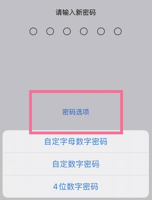 单县苹果14维修分享iPhone 14plus设置密码的方法 