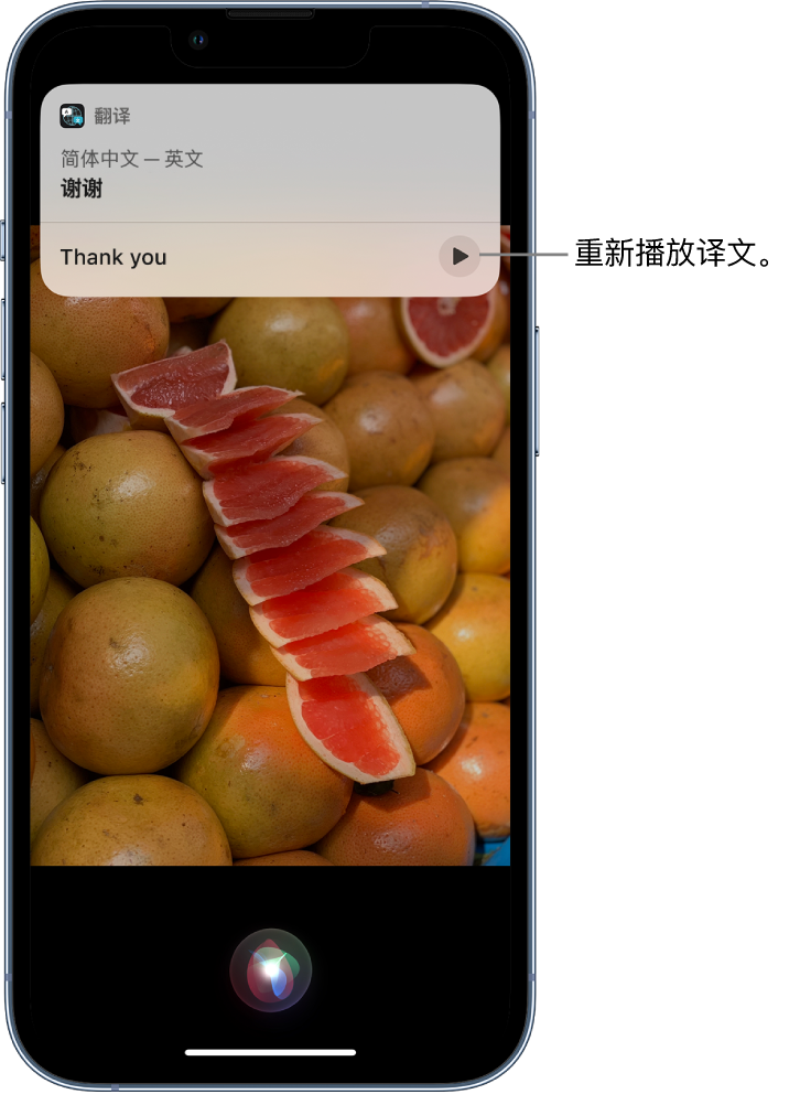 单县苹果14维修分享 iPhone 14 机型中使用 Siri：了解 Siri 能帮你做什么 