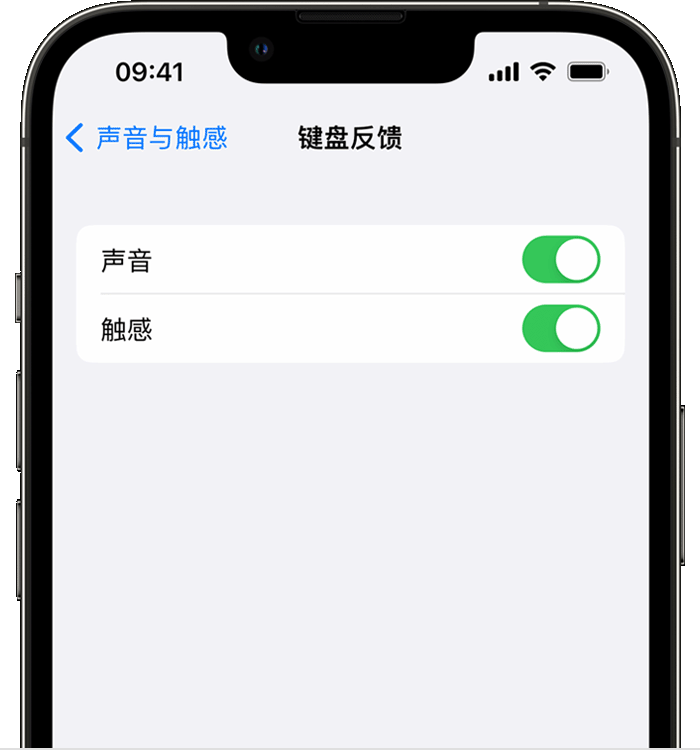单县苹果14维修分享iPhone 14 系列机型如何开启键盘声音或触感反馈 
