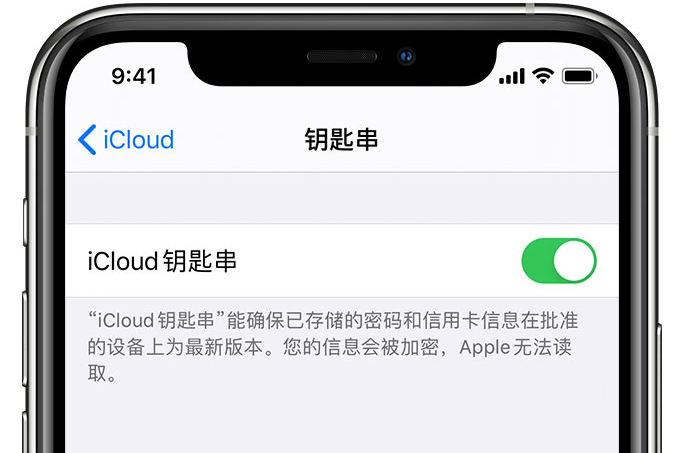 单县苹果手机维修分享在 iPhone 上开启 iCloud 钥匙串之后会储存哪些信息 