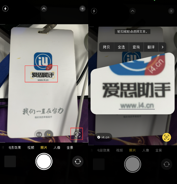 单县苹果手机维修分享升级iOS 16后如何通过相机翻译文本 