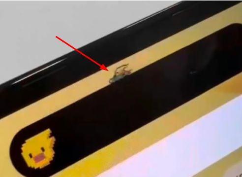 单县苹果14维修分享iPhone 14 Pro Max灵动岛怎么养宠物 