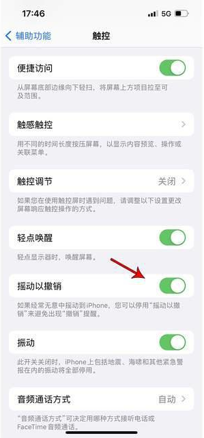 单县苹果手机维修分享iPhone手机如何设置摇一摇删除文字 