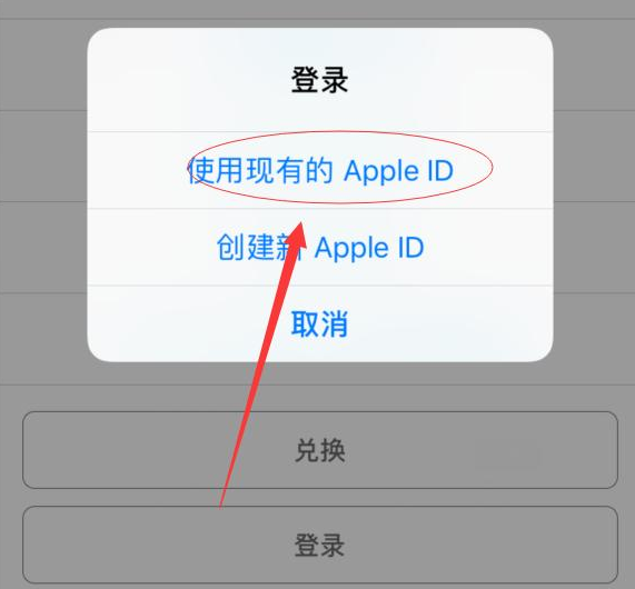 单县苹果手机维修分享两台iPhone设备可以同时登录一个Apple ID吗 