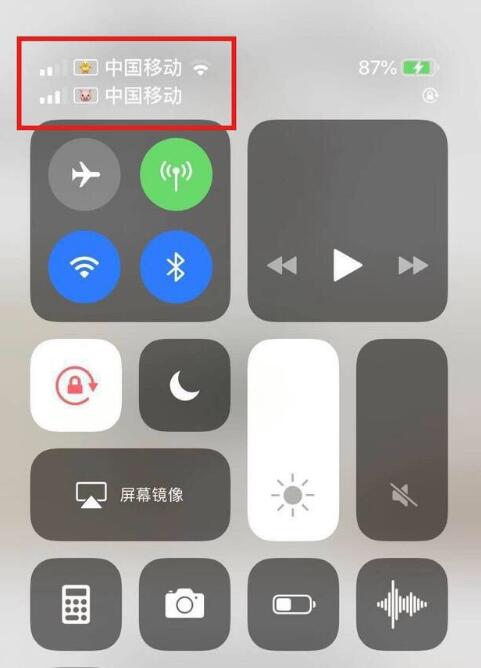 单县苹果手机维修分享为 iPhone 12 双卡设置标签 