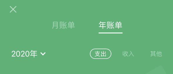 单县苹果手机维修分享如何在 iPhone 上查看支付宝和微信年支出账单 