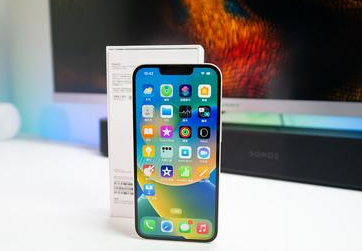 单县苹果维修点分享iPhone 14扩容容易忽略的暗病 